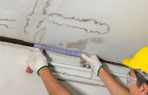 Reliable Burst Pipe Cleanup contractor in Dresden, OH by Water Damage Irwin